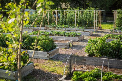 How Deep Should a Raised Garden Bed Be for Optimal Plant Growth?