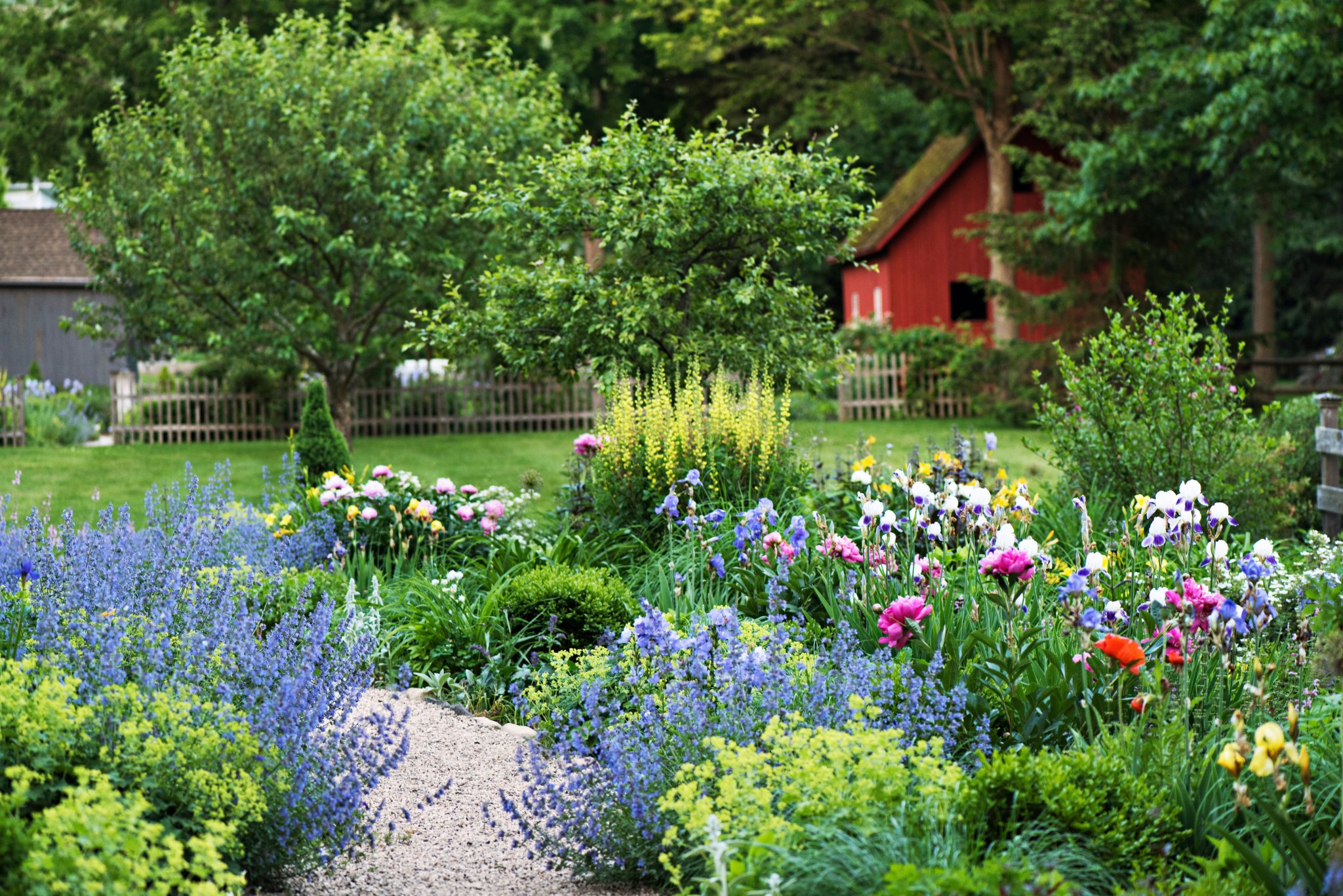 How to Make a Flower Bed in 5 Simple Steps