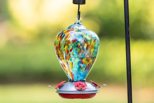 Amazon Has Scores of Hummingbird Feeders on Sale Ahead of Patio Season—Including a BHG Favorite
