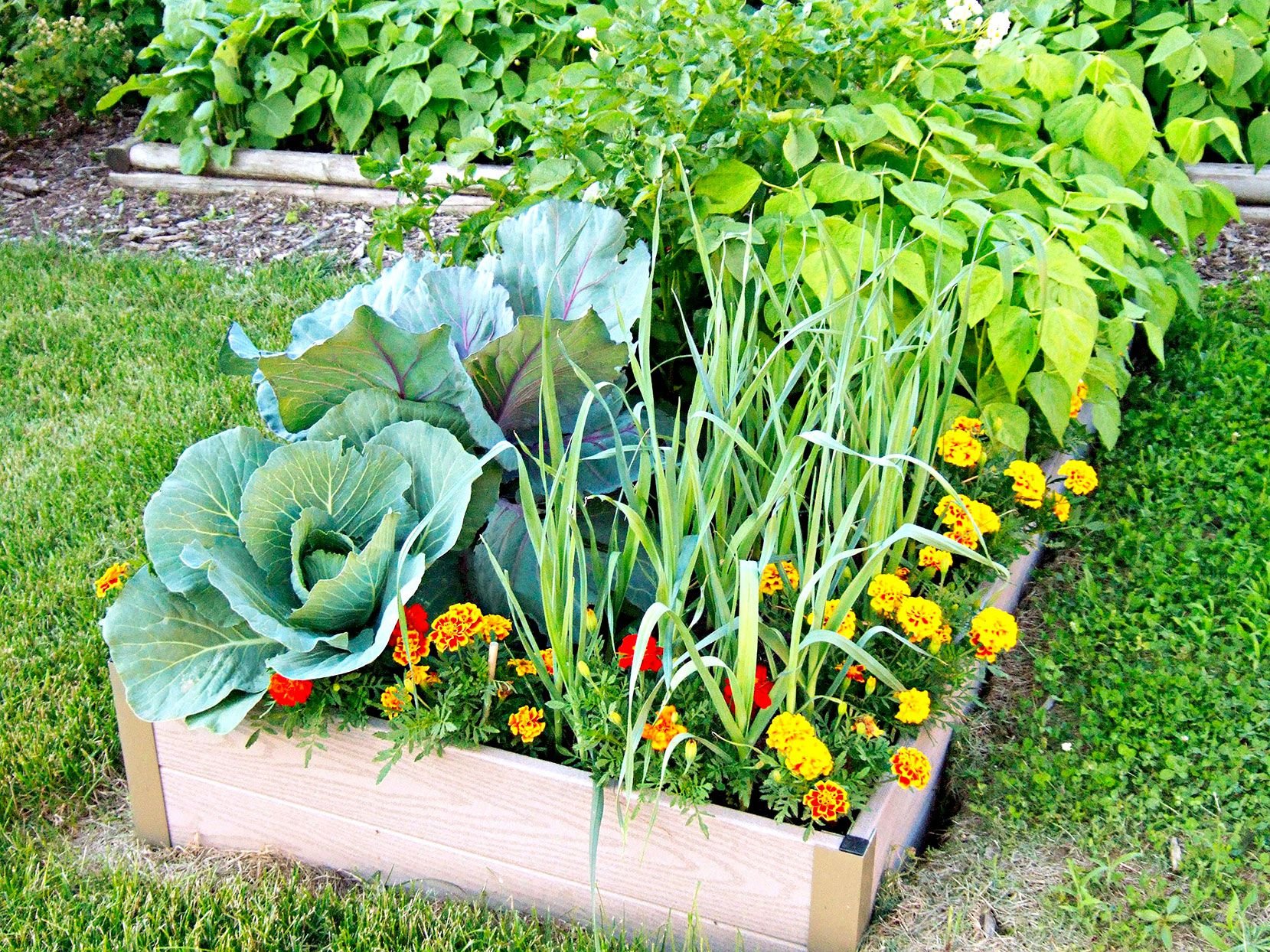 What Vegetables to Plant in Your Edible Garden Each Season