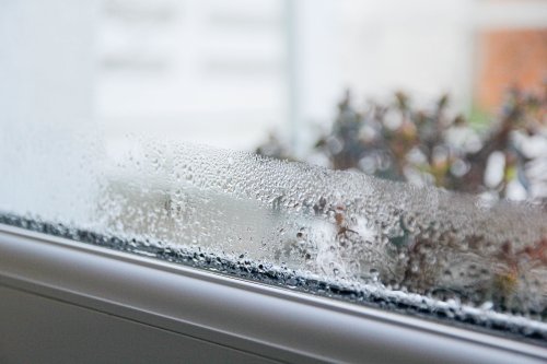 10 Sneaky Culprits Behind Musty Home Odors (and How to Banish Them Fast)