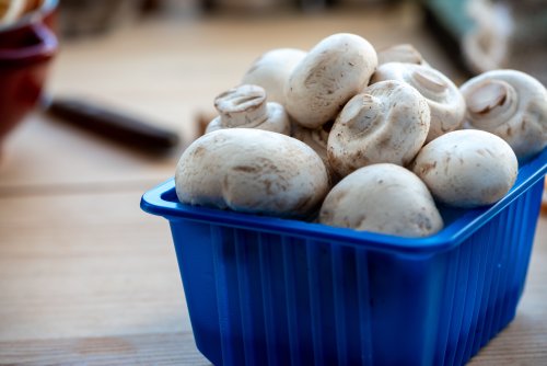 How to Store Mushrooms So They Stay Fresh