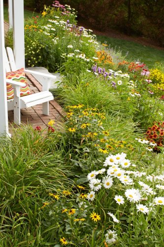 Design a Low-Maintenance Small Garden with These 11 Ideas