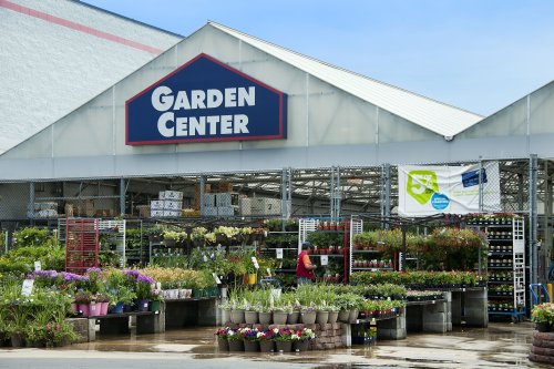 You Can Get a Free Flowering Plant from Lowe's This Mother's Day