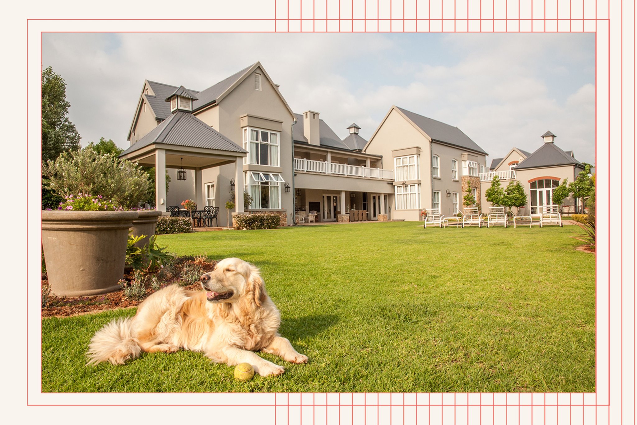 A Majority of People Prioritize Their Pets’ Needs When Buying Their Dream Home