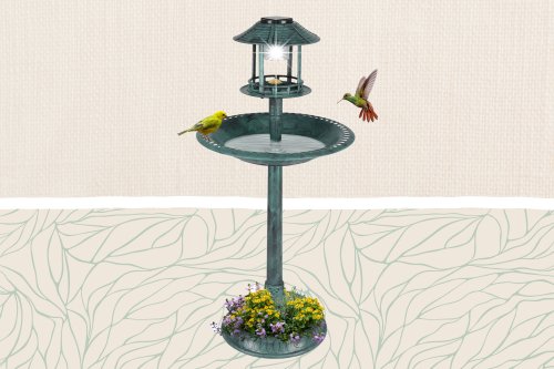 6 Bird Baths with Solar Lights, Fountains, and Floral Designs—All Under $50