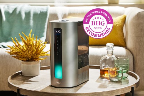The 5 Best Warm Mist Humidifiers of 2024, According to Testing