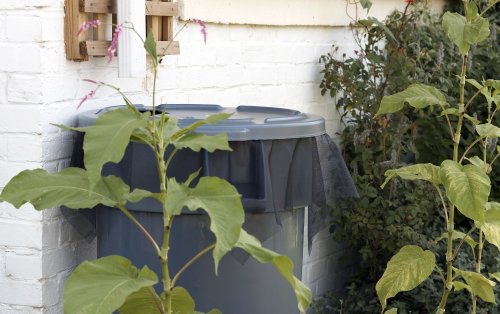 How to Make a Rain Barrel from a Garbage Can in 5 Easy Steps