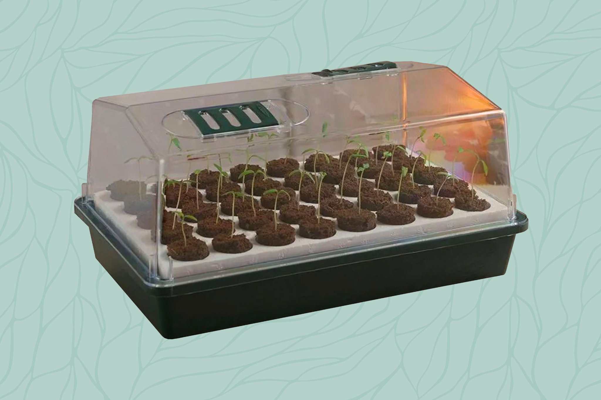 The 11 Best Seed Starting Trays to Help Kickstart Your Garden