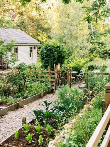 10 Tips for Using Vegetable Garden Fertilizer Effectively