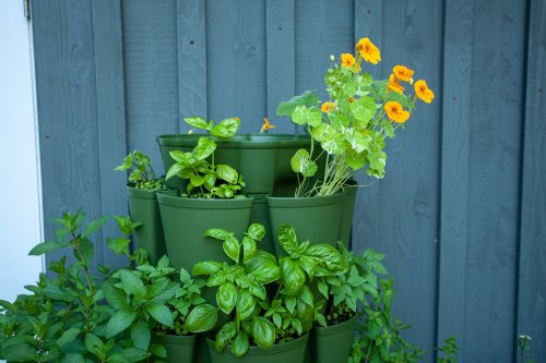 Stackable Planters Are This Season's Most Cost-Effective Gardening Must Have