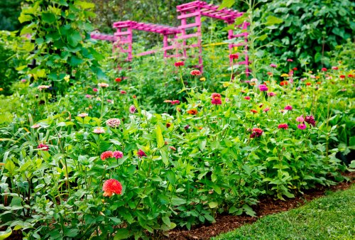 7 Easy Ways to Stop Grass from Invading Your Flower Beds This Summer