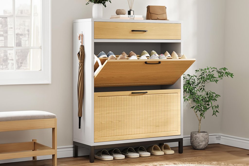 Cleaning and Organizing - cover