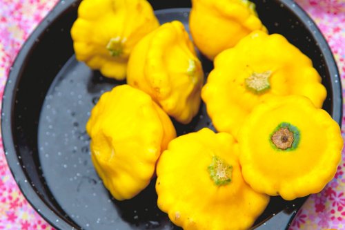 How to Cook Patty Pan Squash 5 Ways—Plus How to Pickle It