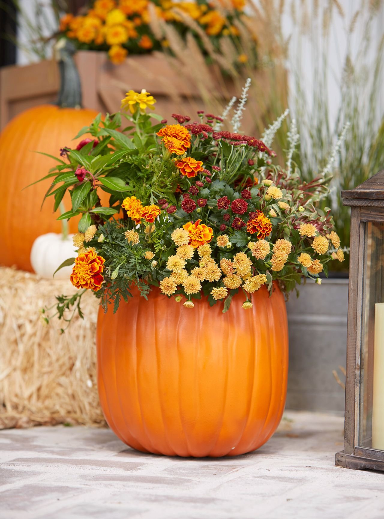 How to Make a Pumpkin Planter to Show Off Your Fall Flowers