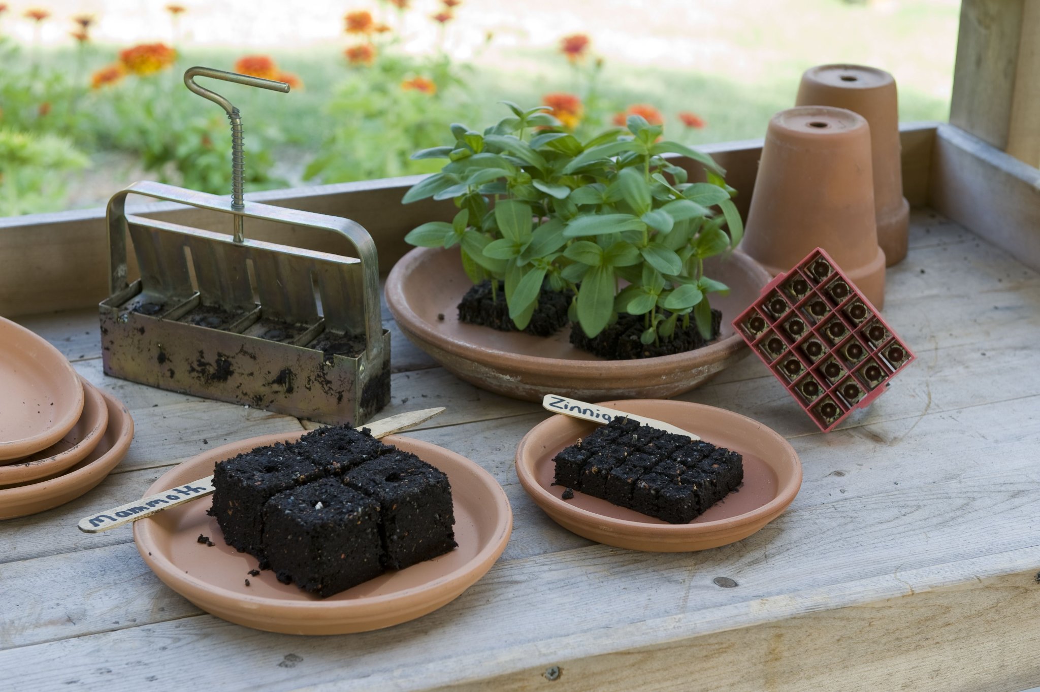 Soil Blocking: A Better Way to Start Your Seeds Off Right