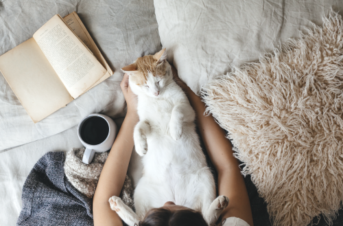 Voici les raisons pour lesquelles votre chat dort avec vous selon la science (et certaines sont vraiment trop mignonnes)