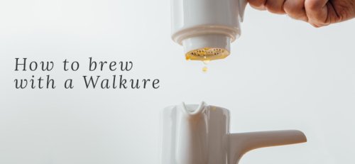 How to Brew Coffee with a Walkure Porcelain Brewer
