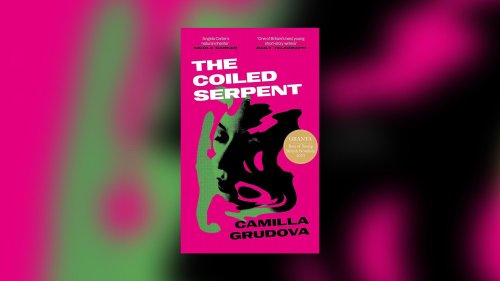 The Coiled Serpent by Camilla Grudova review – unsettling short stories of grimy austerity
