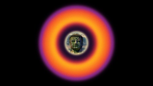 What does Buddhism offer physics?