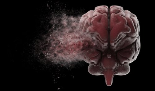 How the brain’s left hemisphere “mesmerizes” us into misunderstanding reality