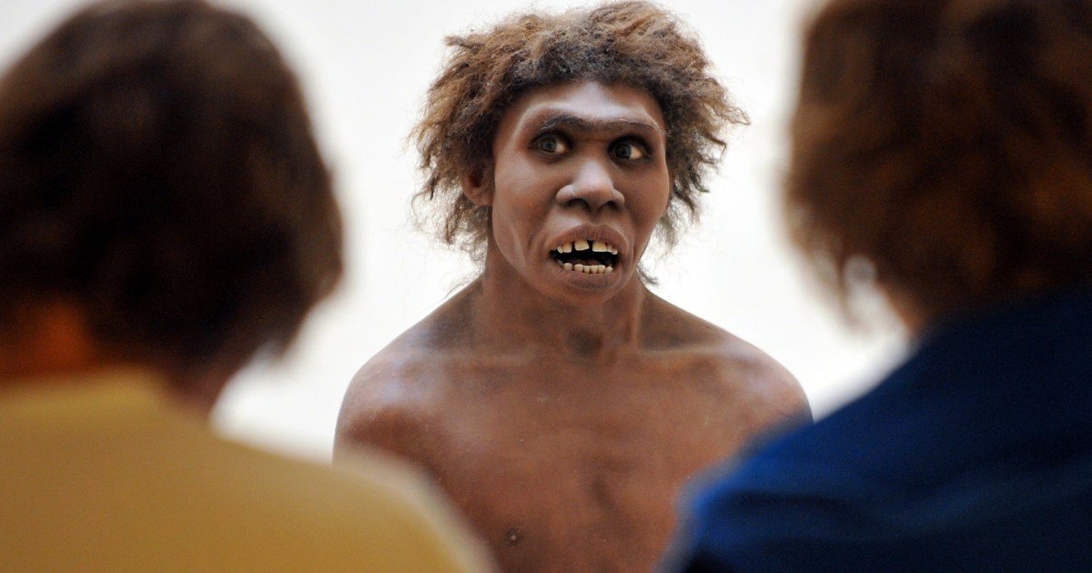 Neanderthal bones: Signs of their sex lives