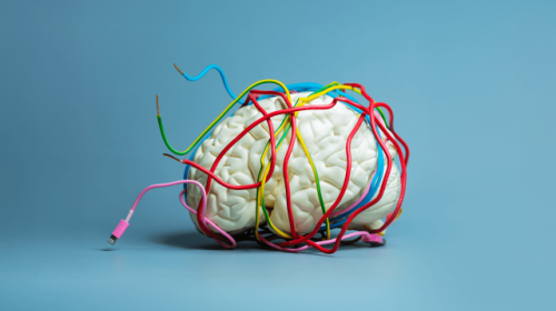 How curiosity rewires your brain for change