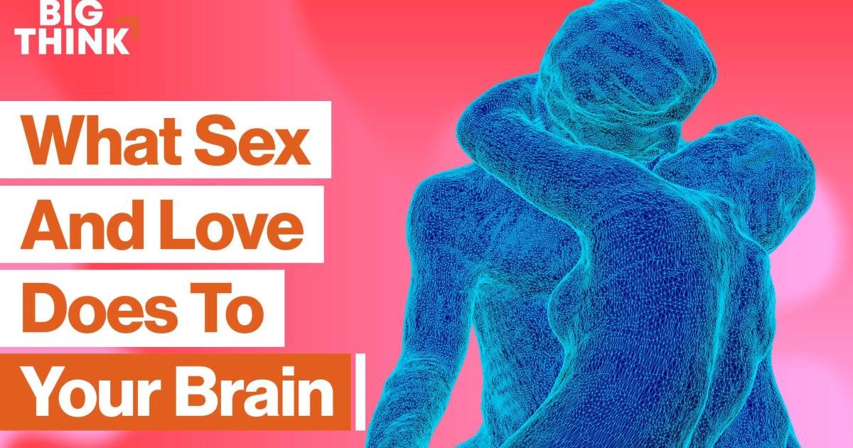 The science of sex, love, attraction, and obsession