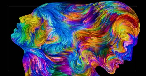 What is shared consciousness?