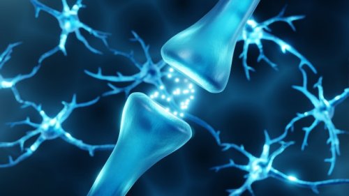 Does physics truly have anything to say about consciousness?