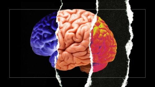 You have 3 brains. This is how to use them.