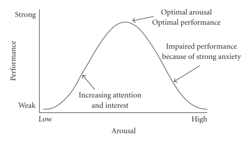 The Yerkes-Dodson law: This graph will change your relationship with stress