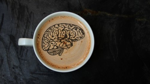 Daily caffeine intake temporarily alters your brain structure