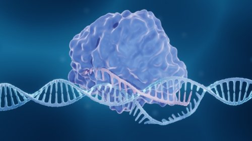 New killer CRISPR system is unlike any scientists have seen