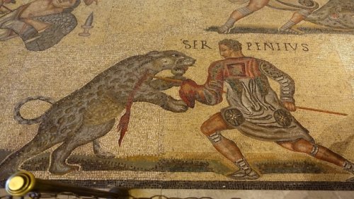Exotic animals and their strange relationship with ancient Greeks and Romans