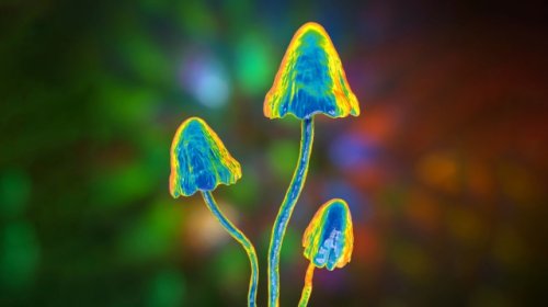 Why psychedelics are “freakishly safe”