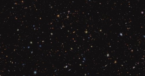 JWST, at last, answers our biggest cosmic questions