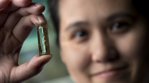 Scientists Accidentally Create a Battery That Can Outlast Your Device