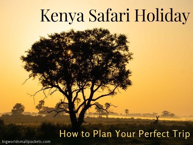 How to Plan Your Perfect Kenya Safari Holiday