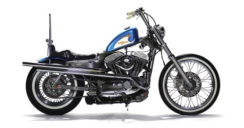 Evo ain't dead: A Harley Sportster chopper from China