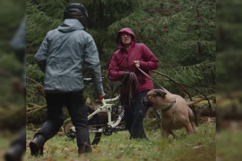 Dog Attacks Mountain Biker Filming Video