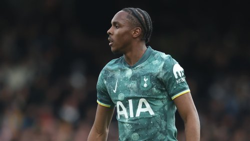 „Zeig mal Respekt“: Tel und Spurs-Trainer zoffen sich mit Fan