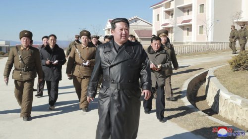 Nordkorea verbannt Ledermäntel
