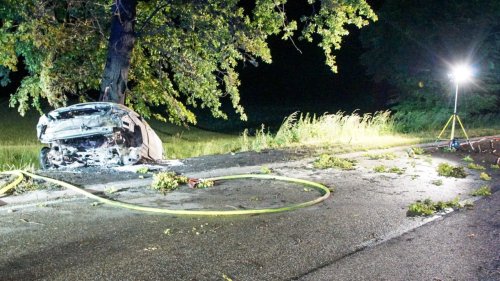 Zwei Männer verbrennen  im Auto bei Baum-Crash