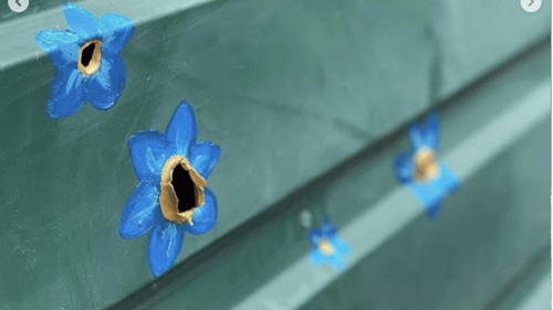 Ukrainer malen Blumen über Einschusslöcher