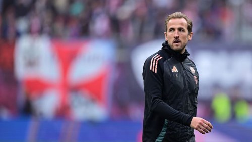 Doch nicht Gyökeres oder Schick?: ER soll jetzt Bayerns Kane-Backup werden