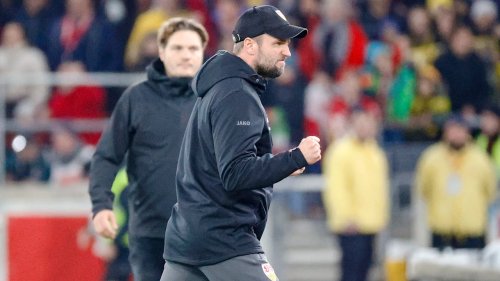 Borussia Dortmund: Der BVB muss über Hoeneß nachdenken | Fußball