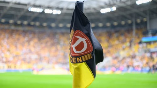 Dynamo Dresden: Chaos um Markus Anfang, die Bosse und den Aufstieg | Fußball