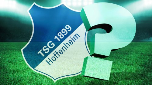 Neuer Hoffenheim-Trainer im Anflug!