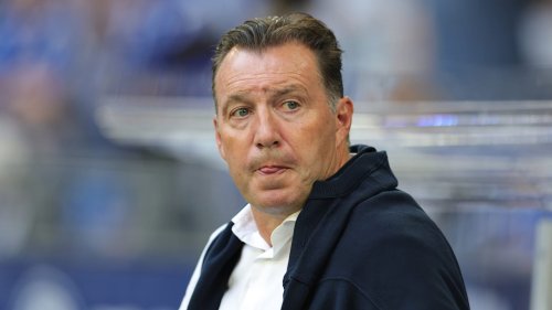 Ex-Schalke-Boss : Neuer Job für Wilmots